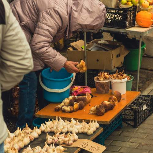 Photo #8115473
