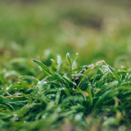 Photo #8116232