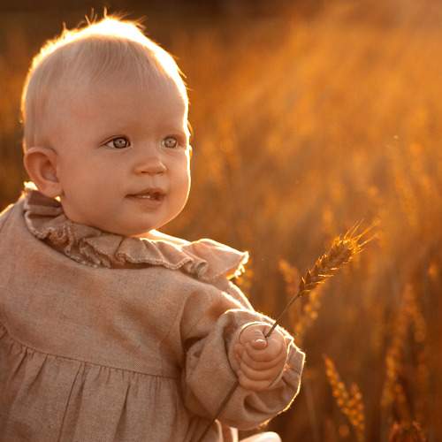 Photo #8116749