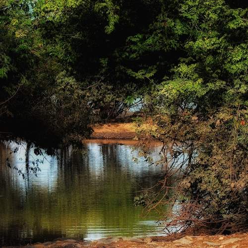 Photo #8117282