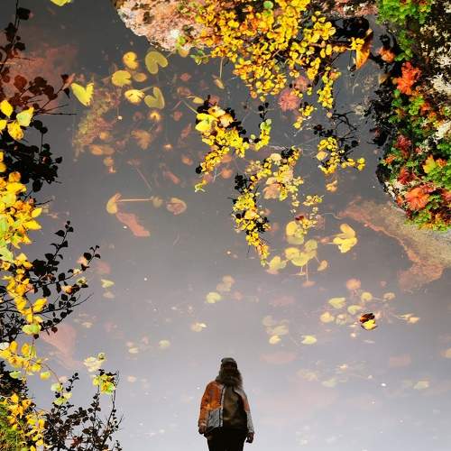 Photo #8117294