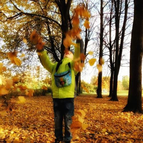 Photo #8117348