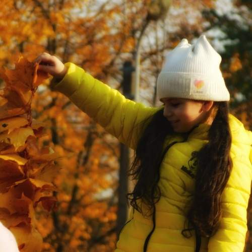 Photo #8117349