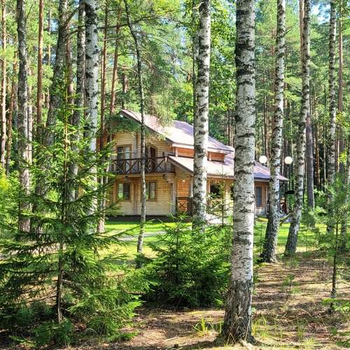 Photo #8118363