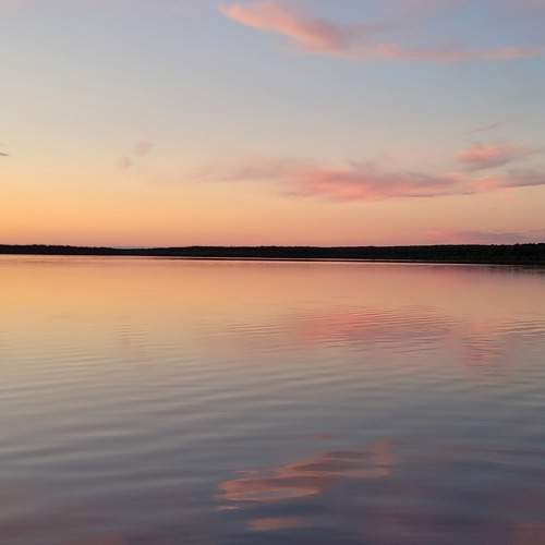 Photo #8118364