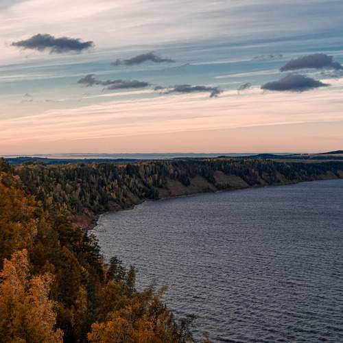 Photo #8118410