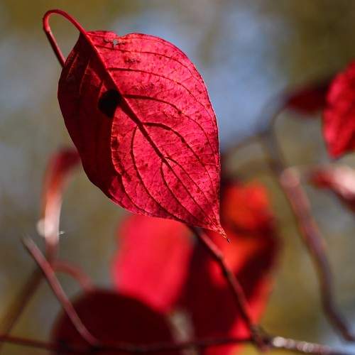 Photo #8118503