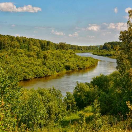 Photo #8118709