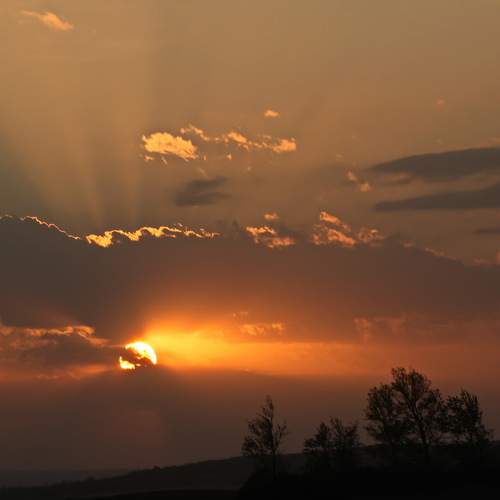 Photo #8118742