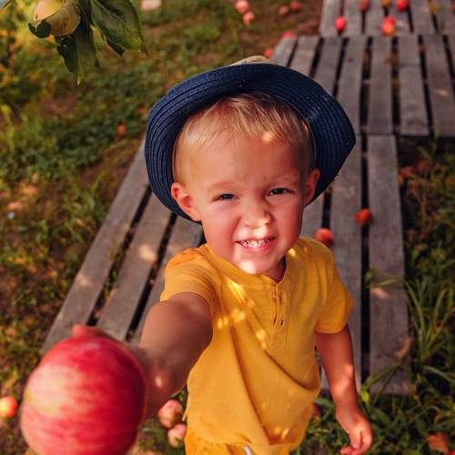 Photo #8118884