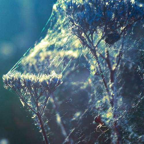 Photo #8118974