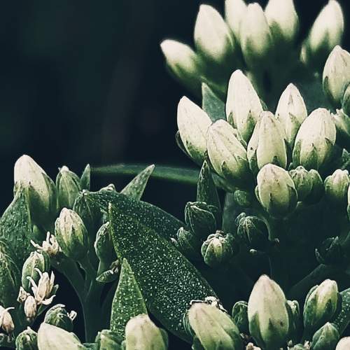 Photo #8119036
