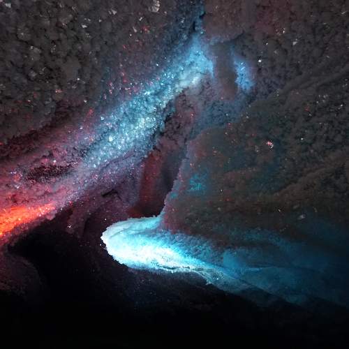 Photo #8119201