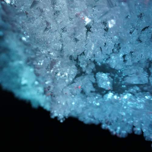 Photo #8119202