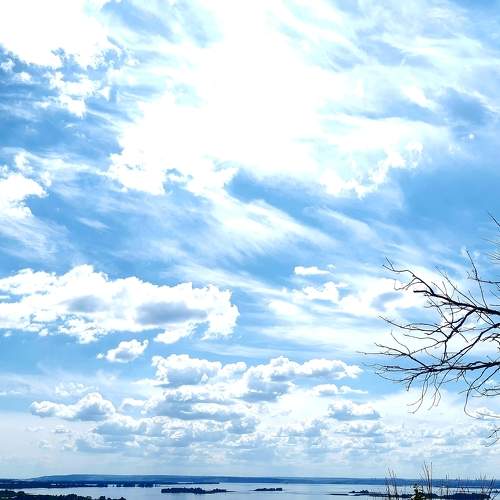 Photo #8119241
