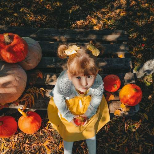 Photo #8119247