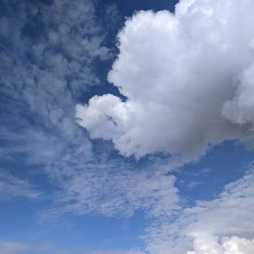 Photo #8119248