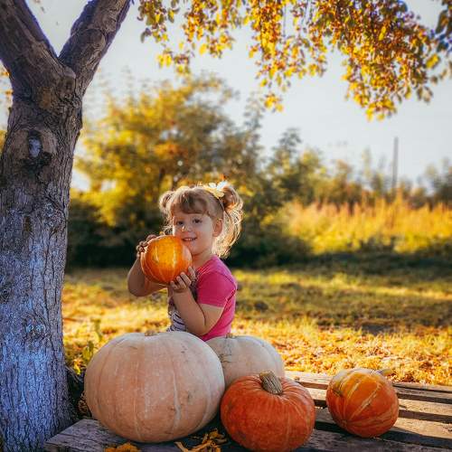 Photo #8119290