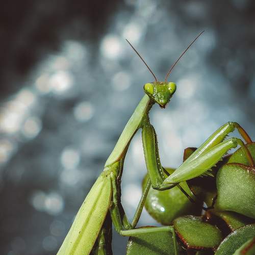 Photo #8119814