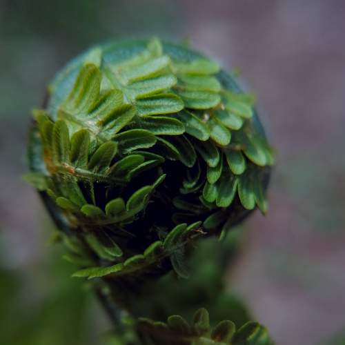 Photo #8119815