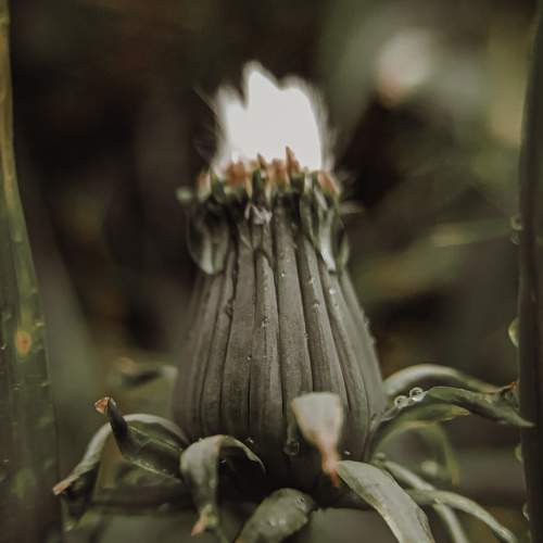 Photo #8119846
