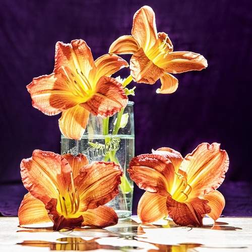 Photo #8120484