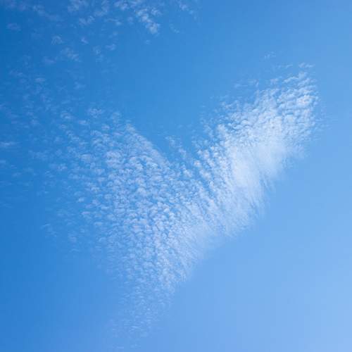 Фотография #8120851