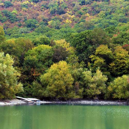 Photo #8120904