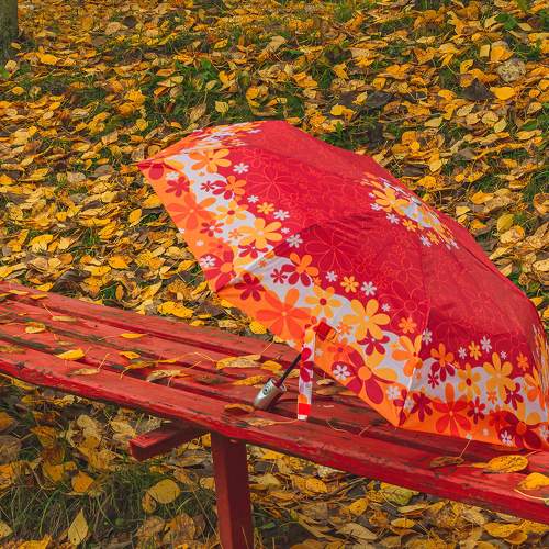 Photo #8120916