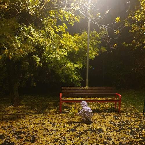 Photo #8121413