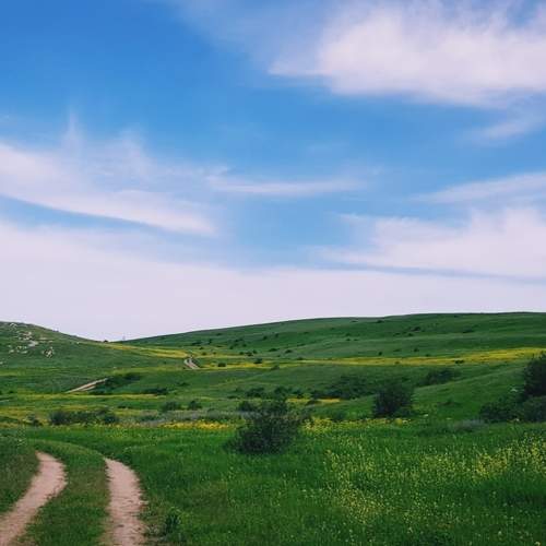Photo #8121888
