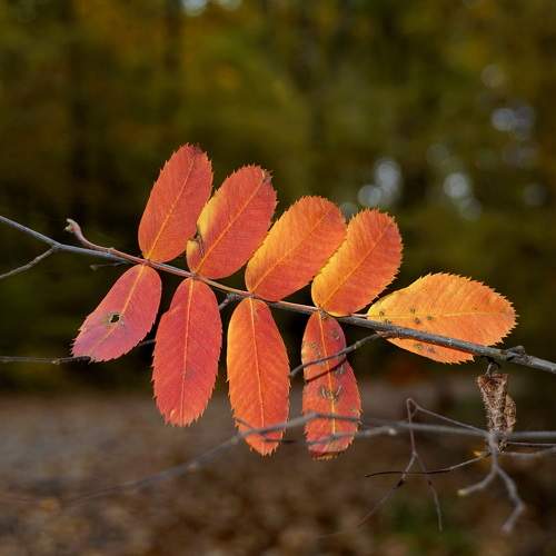 Photo #8122027