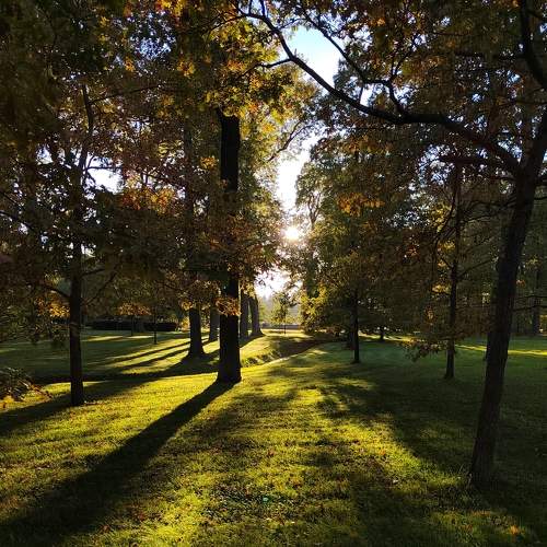 Photo #8122118