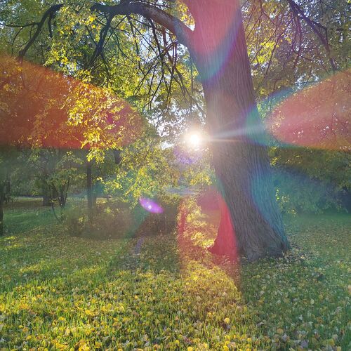 Photo #8122119