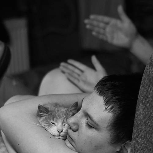 Photo #8122466