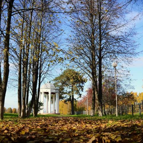 Photo #8122682
