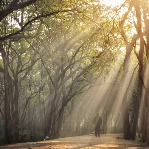 Sunlight of silly thoughts!