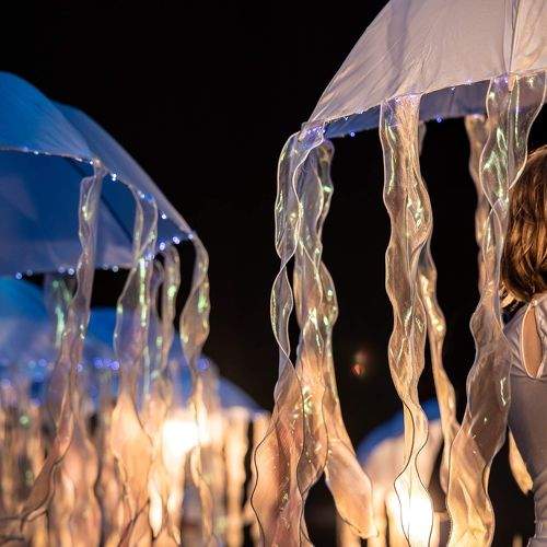Photo #8123022
