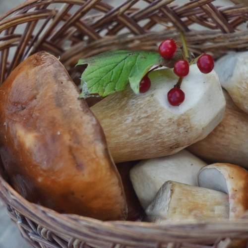 Photo #8123049