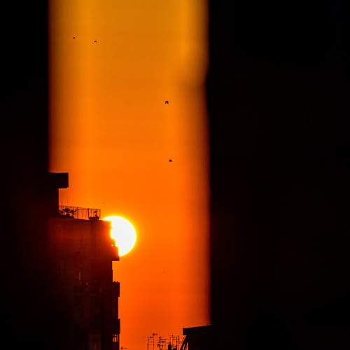 Photo #8123244