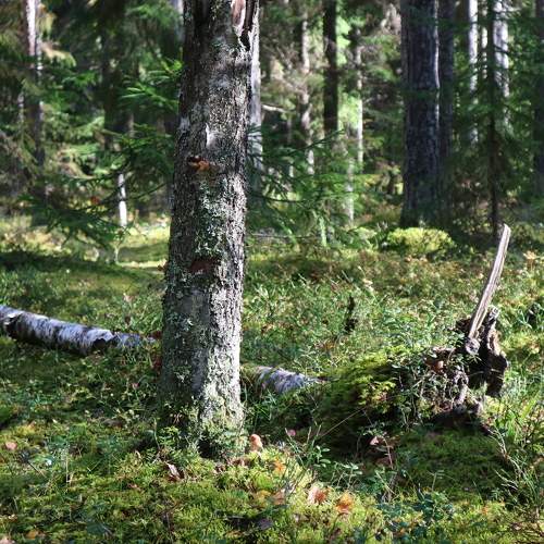 Photo #8123339