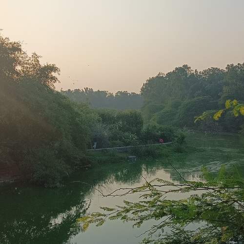 Photo #8123821