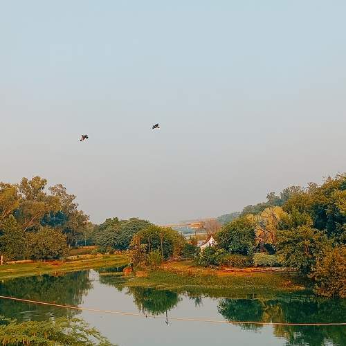 Photo #8123837