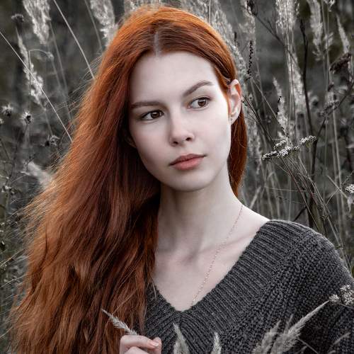 Photo #8124403