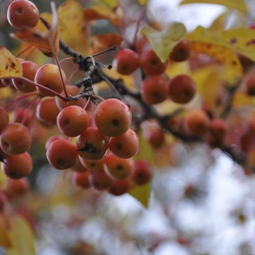 Фотография #8124498