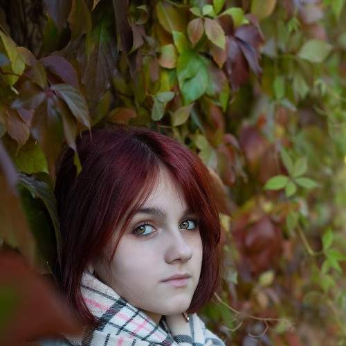 Photo #8124619