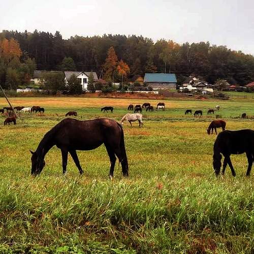 Photo #8125019