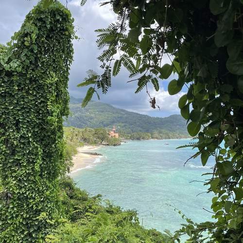 Nature window