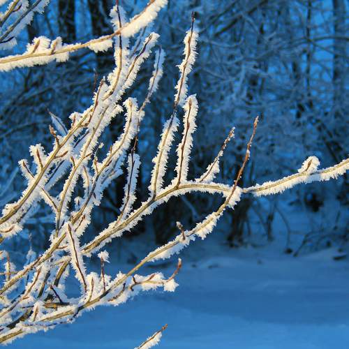 Photo #8125344