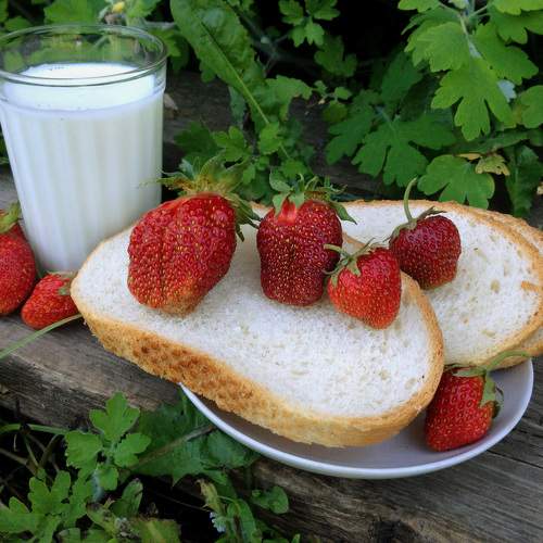 Photo #8125495